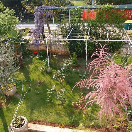Villa Salvia Rooms And Apartments Rovinj Exterior foto